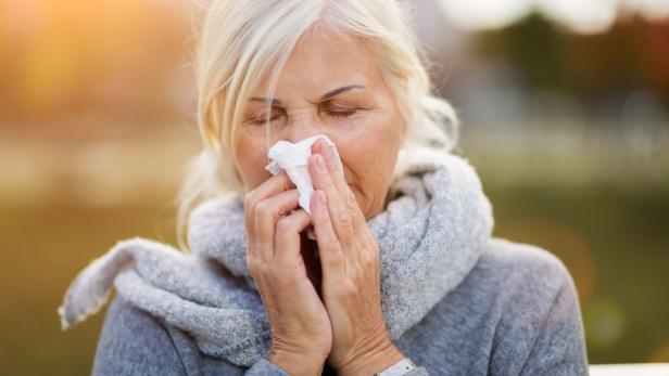Etwa 4.000 Grippetote im vergangenen Winter in Österreich