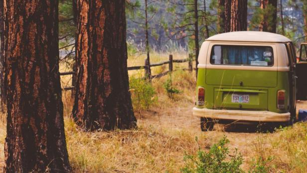Ein grüner VW-Bus steht auf einem Campingplatz im Wald.