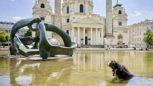 Hund im Teich vor der Karlskirche