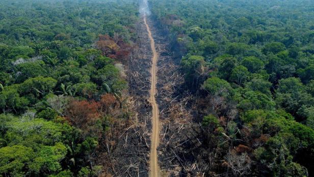 Eine Schneise der Zerstörung zieht sich durch den brasilianischen Regenwald