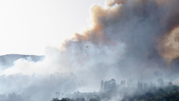 2.500 Menschen wegen Waldbrand auf La Palma evakuiert