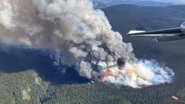 Waldbrände in Kanada: Verbrannte Fläche größer als Österreich