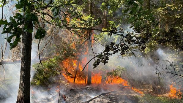 Waldbrandgefahr: Einsatz-Management für 108 Gemeinden