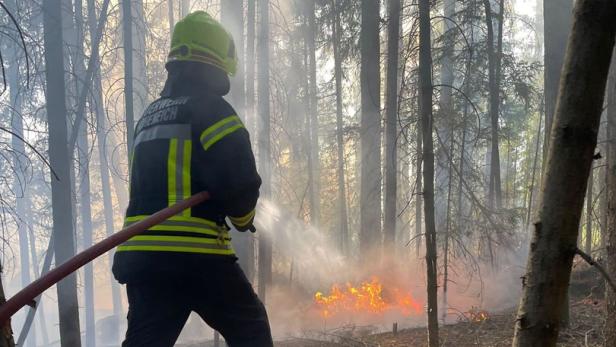 Eine Ausbreitung des Waldbrands konnte von den Feuerwehren vorerst verhindert werden