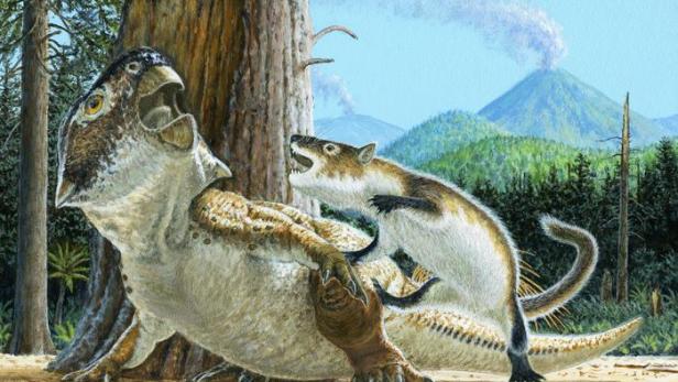 Erstaunlich: Fossil konserviert besondere Dinosaurier-Szene