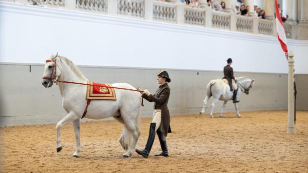 Besuch in der Spanischen Hofreitschule