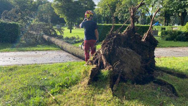 Ein Mann mit Helm steht vor einem umgestürzten Baum.