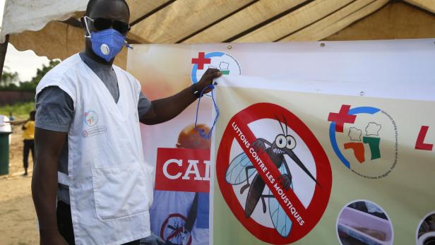 Official launch of Dengue mosquito control campaign in Abidjan