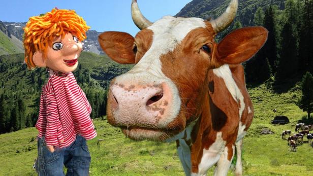 Seppy und die Kuh