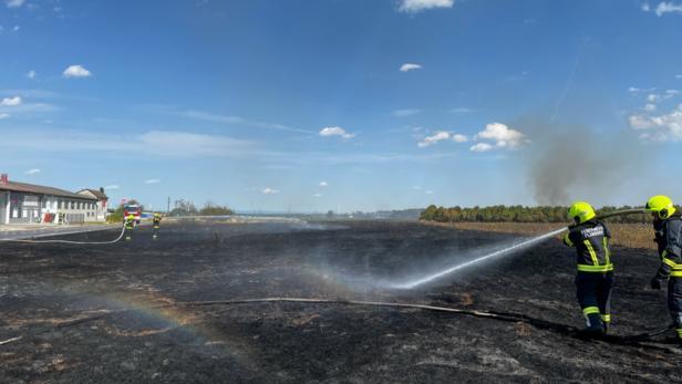 25 Hektar zerstört: Polizei ermittelt nach Flur- und Waldbrand