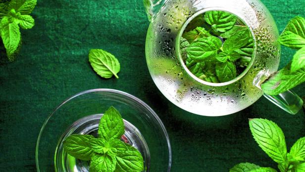 Fresh mint tea-drinking concept, overhead view