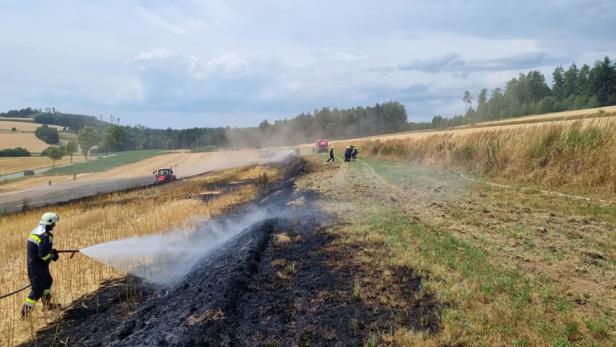 Feuerwehren müssen massiven Flurbrand vor dem Wald stoppen