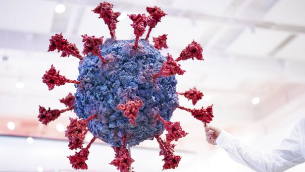 Das neue Modell von SARS-CoV-2, dem neuen Coronavirus.