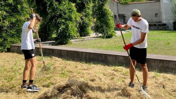 Freiwilliger Einsatz für die Artenvielfalt in der Wachau