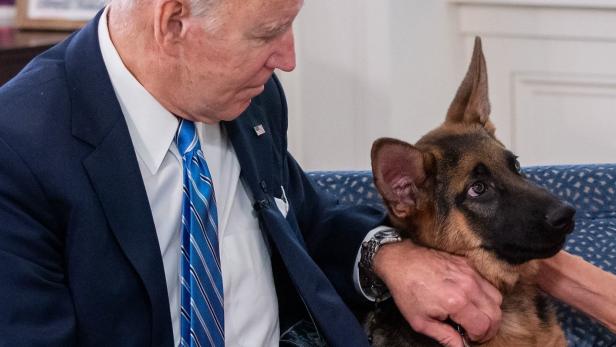 Joe Bidens Hund "Commander" nach Bissen aus dem Weißen Haus verbannt