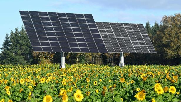 Große Photovoltaik-Anlage ohne Flächenumwidmung