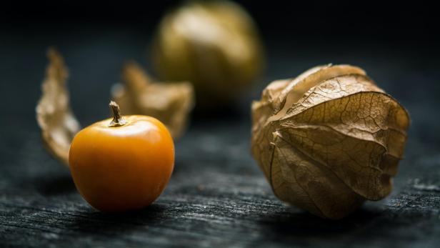 Physalis