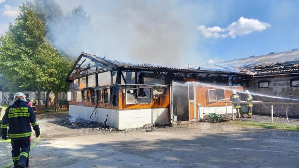 Brand in Reitstall: 30 Pferde wurden gerettet