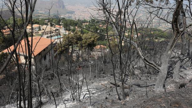 Waldbrände in Griechenland fordern erste politische Konsequenzen