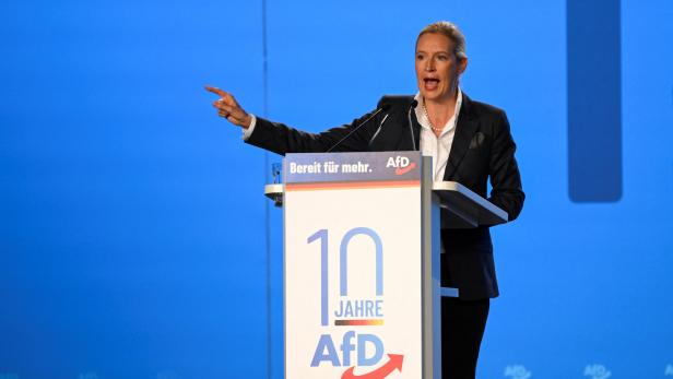 AfD-Chefin Alice Weidel will mit Partnern eine "Festung Europa" bauen
