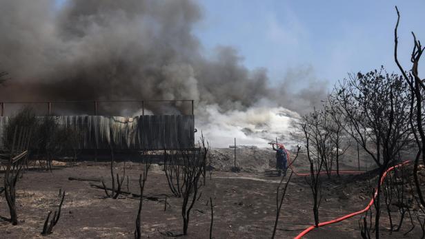 Wildfire burns in central Greece