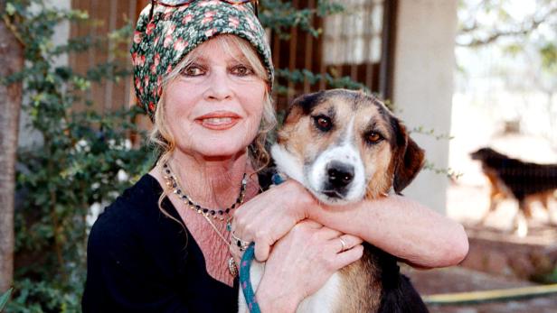 395783 06: Animal rights activist Brigitte Bardot visits her dog refuge &quot;The Nice Dogs&quot; of Carnoules on October 7, 2001 in Paris, France. (Photo by Charly Hel/Prestige/Getty Images)