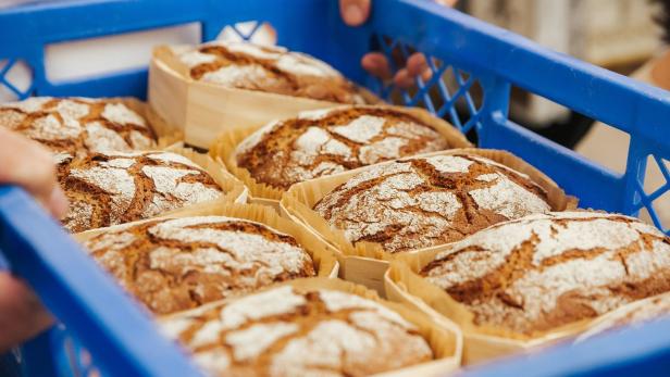 Eine blaue Kiste gefüllt mit mehreren Laiben Brot, die mit Mehl bestäubt sind.