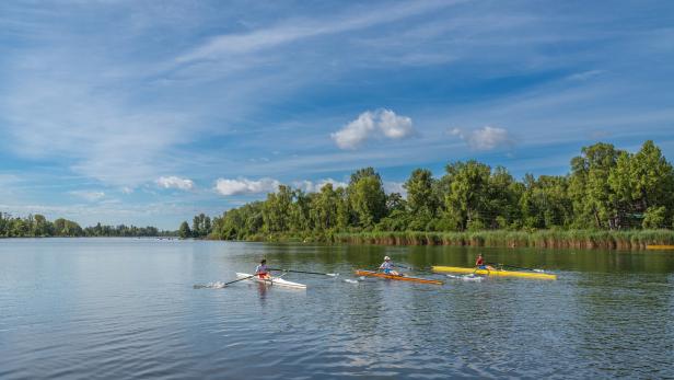 Darum liegt das Rudern auf der Alten Donau in Wien im Trend