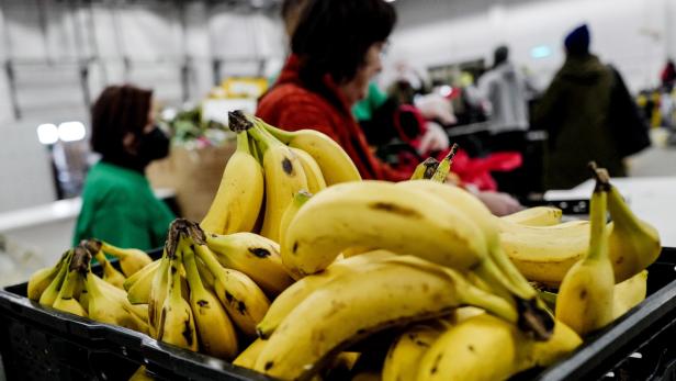 Tschechiens Polizei fand knapp 650 Kilo Kokain in Bananenkisten