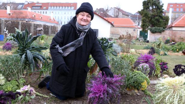 Damit man bei Frost und Schnee noch frisches Gemüse ernten kann