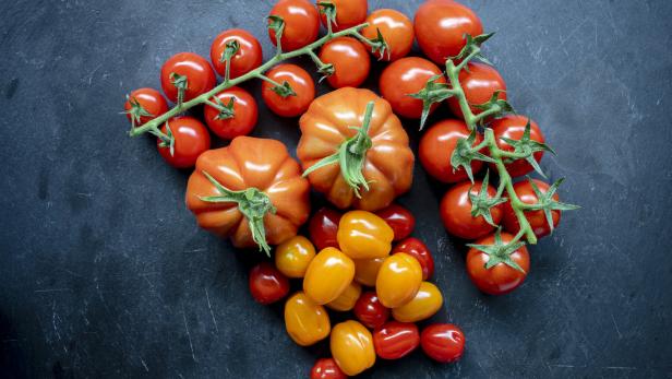Nur 6 Schritte: Wie man aus Tomaten Tomaten macht