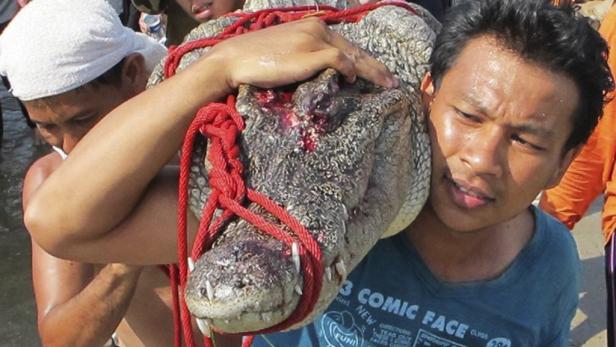 Thailand-Fluten: Warnung vor Krokodilen