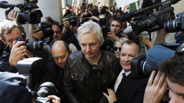 Wikileaks muss pausieren