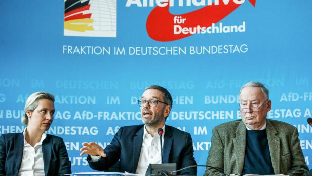 Umgang mit FPÖ, AfD & Co.: Brandmauer vs. Türl mit Seitenteilen