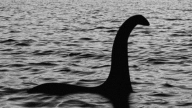 Wo ist Nessie? Größte Suchaktion in Loch Ness seit 50 Jahren