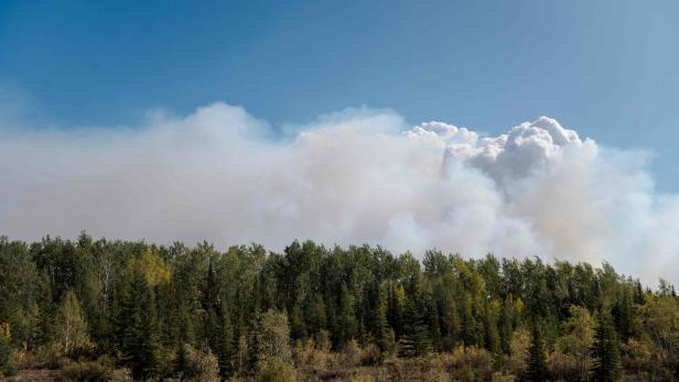 Rauch steigt über einem Wald in Kanada auf, möglicherweise durch einen Waldbrand verursacht.