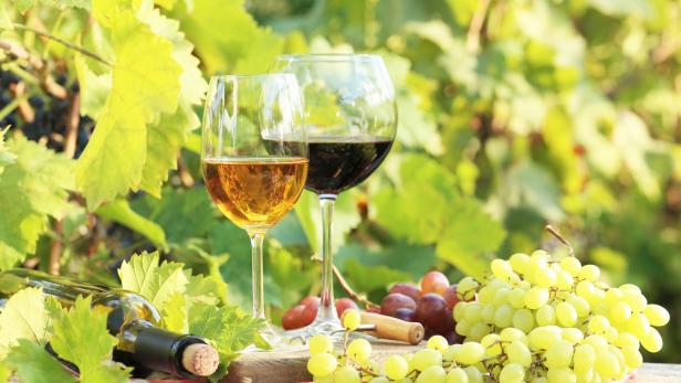 Zwei Gläser Wein und Trauben stehen auf einem Holztisch vor Weinreben.