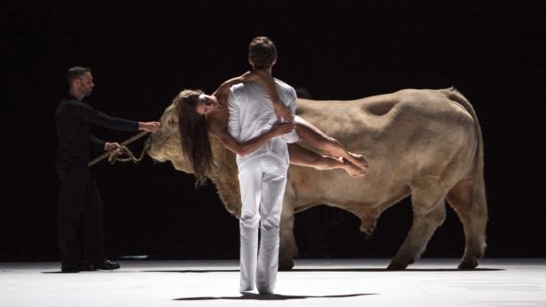 Ein echter Stier auf der Bühne der Pariser Opera Bastille – ihm werden die Jungfrauen geopfert. Zum Glück freilich nicht ganz