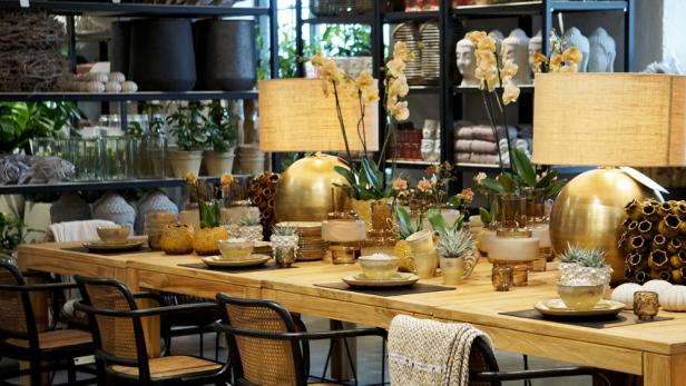 Das sind die 5 schönsten Pflanzenboutiquen in Wien