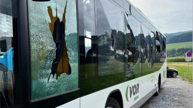 Teurer Rausch in NÖ: Mann zerstörte Linienbus, muss 65.000 Euro zahlen