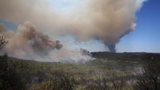Wildfire in Alexandroupolis, Thrace