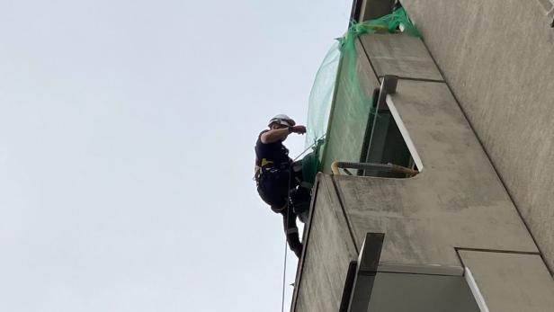 Die Feuerwehr rückte an, um einen Sittich aus einem Taubennetzt zu befreien.