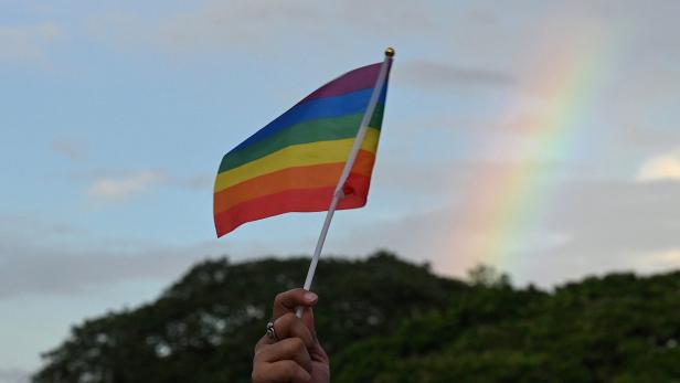 Eine kleine Regenbogen-Fahne wird in die Luft gehalten