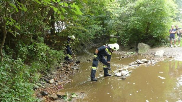 50.000 Liter Gülle ausgetreten: Fischsterben im Anzbach