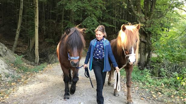 Nicht willkommen: Große Hürden für Reiter im Wienerwald 