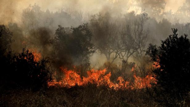 Fire breaks out on the outskirts of Lamia and spreads rapidly due to strong winds