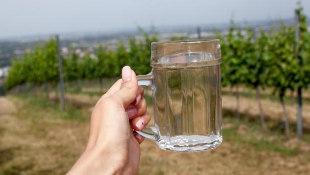 Eine Hand hält ein Glas Wasser vor einem Weinberg.