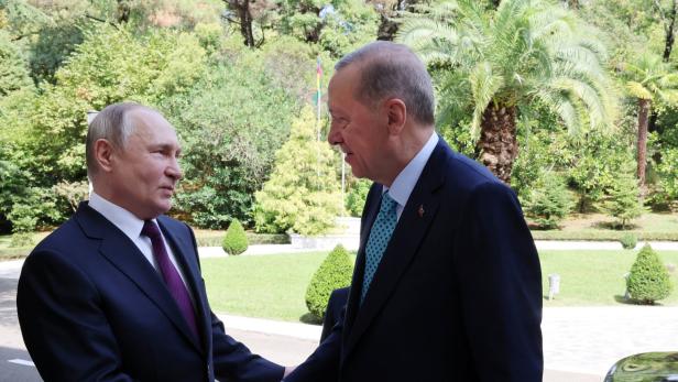 Russlands Präsident Wladimir Putin schüttelt seinem türkischen Amtskollegen Recep Tayyip Erdoğan in Sotschi die Hand. 