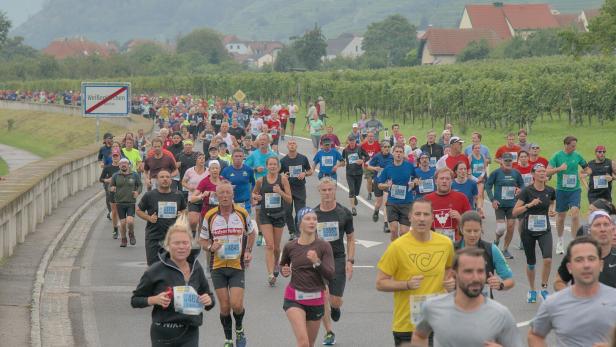 Steigende Teilnehmerzahl: 42,195 Kilometer durch die Wachau