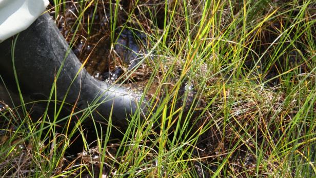 Pensionist verbrachte Nacht im Moor